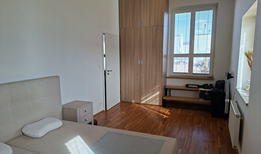 Pronájem bytu 2+kk 101 m², Praha – náhled fotky 5