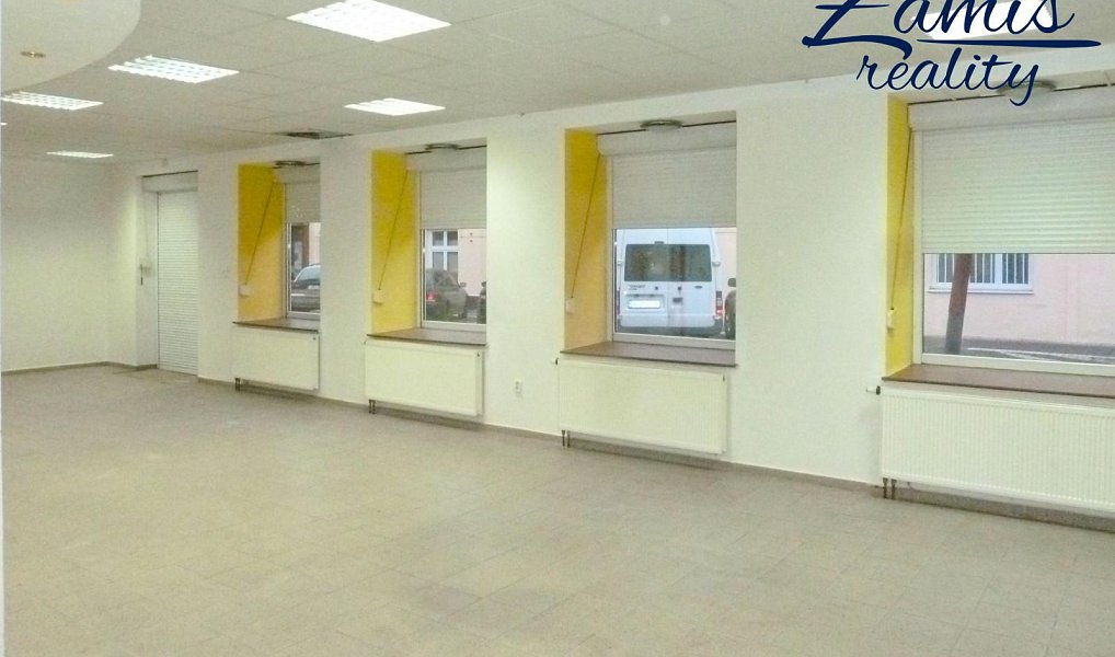 Prodej domu 400 m² s pozemkem 201 m², Kladno – náhled fotky 18
