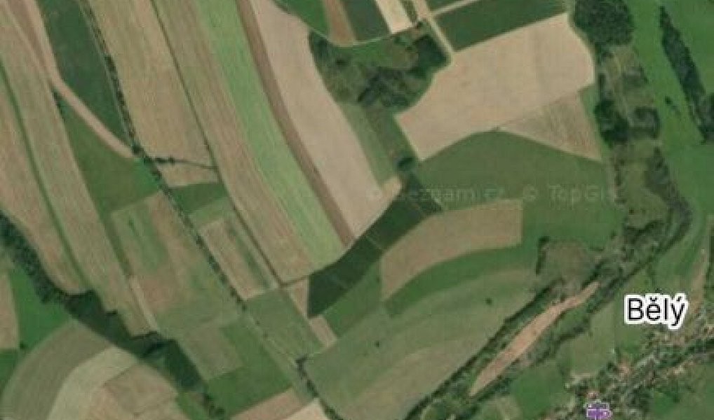 Prodej pole 32 713 m², Police nad Metují – náhled fotky 3