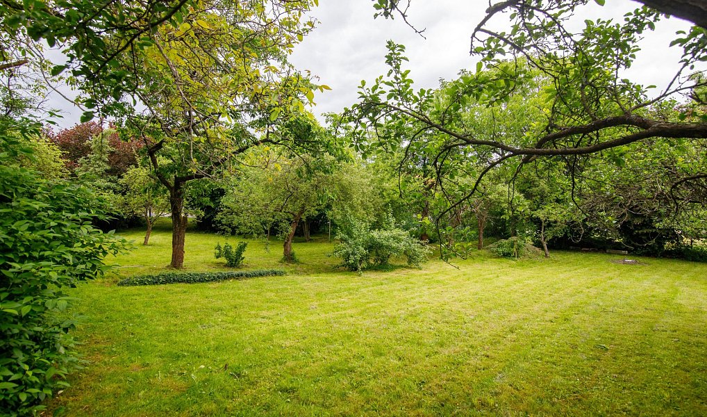 Prodej stavebního pozemku 1 182 m², Palkovice – náhled fotky 21