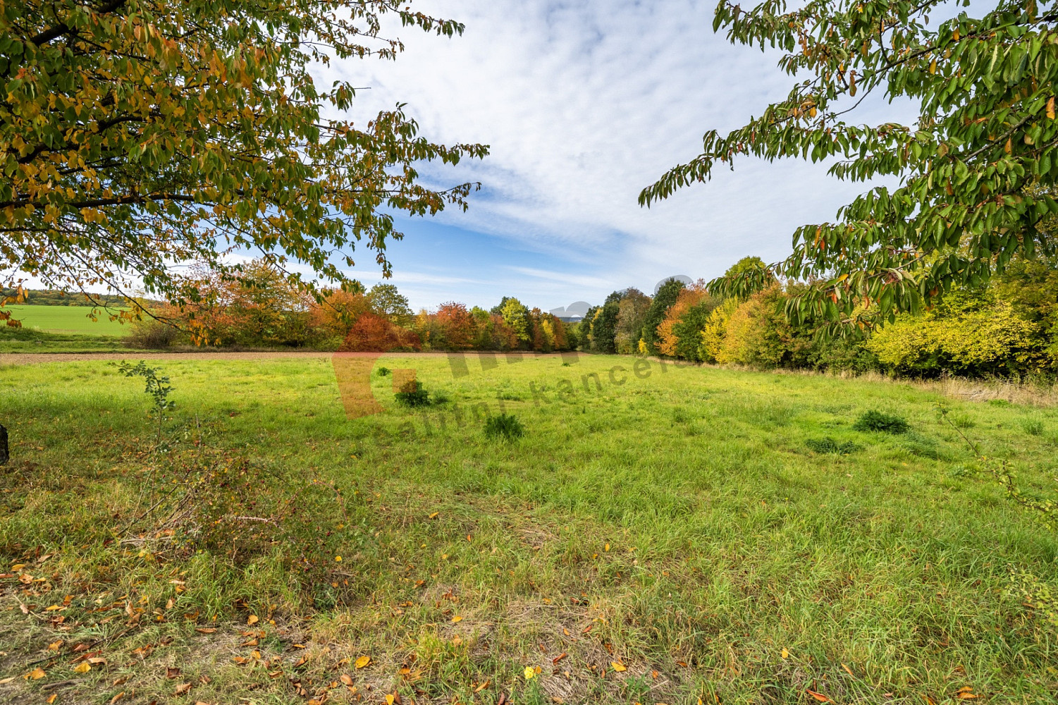 Prodej stavebního pozemku 7 821 m²