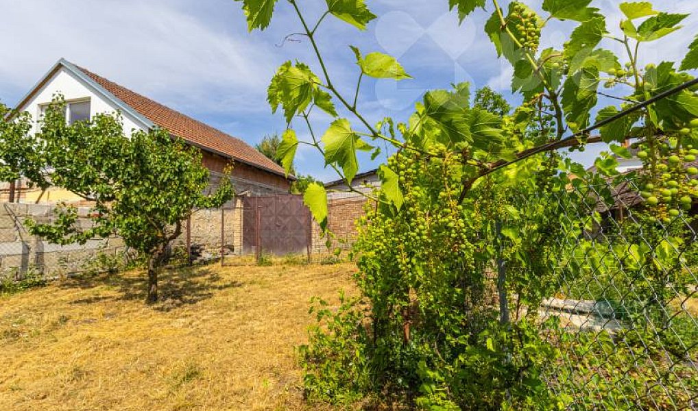 Prodej domu 140 m² s pozemkem 1 129 m², Křenovice – náhled fotky 12
