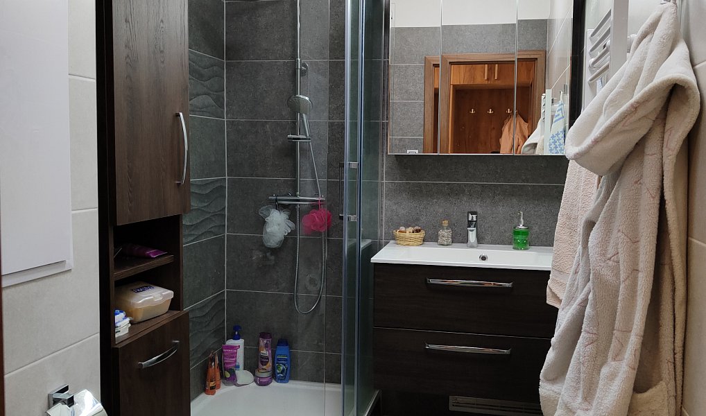 Pronájem bytu 3+1 67 m², Planá – náhled fotky 11