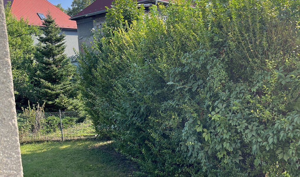 Pronájem bytu 1+1 40 m², Ostrava – náhled fotky 10