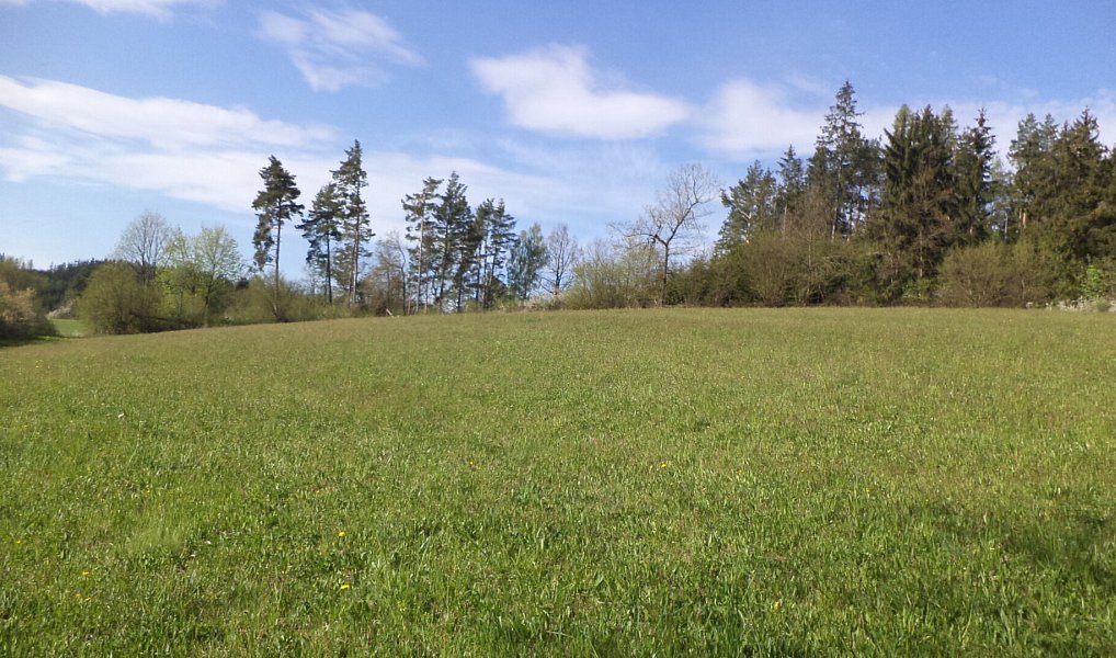Prodej pole 9 910 m², Mokrosuky – náhled fotky 3
