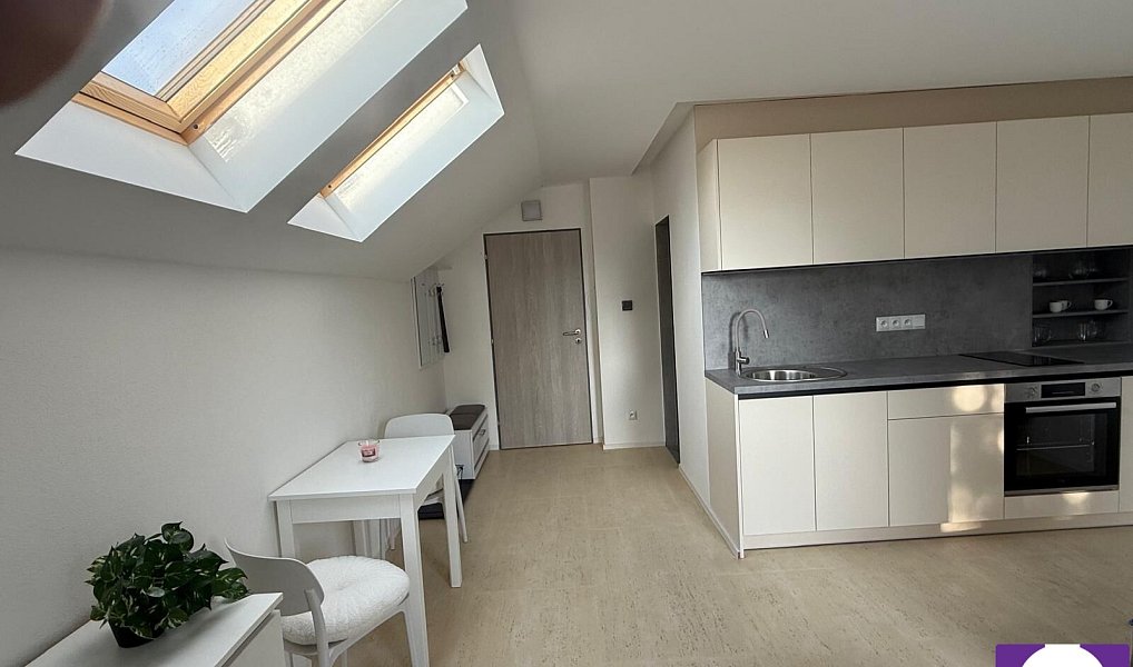 Prodej bytu 1+kk 25 m², Horní Planá – náhled fotky 8