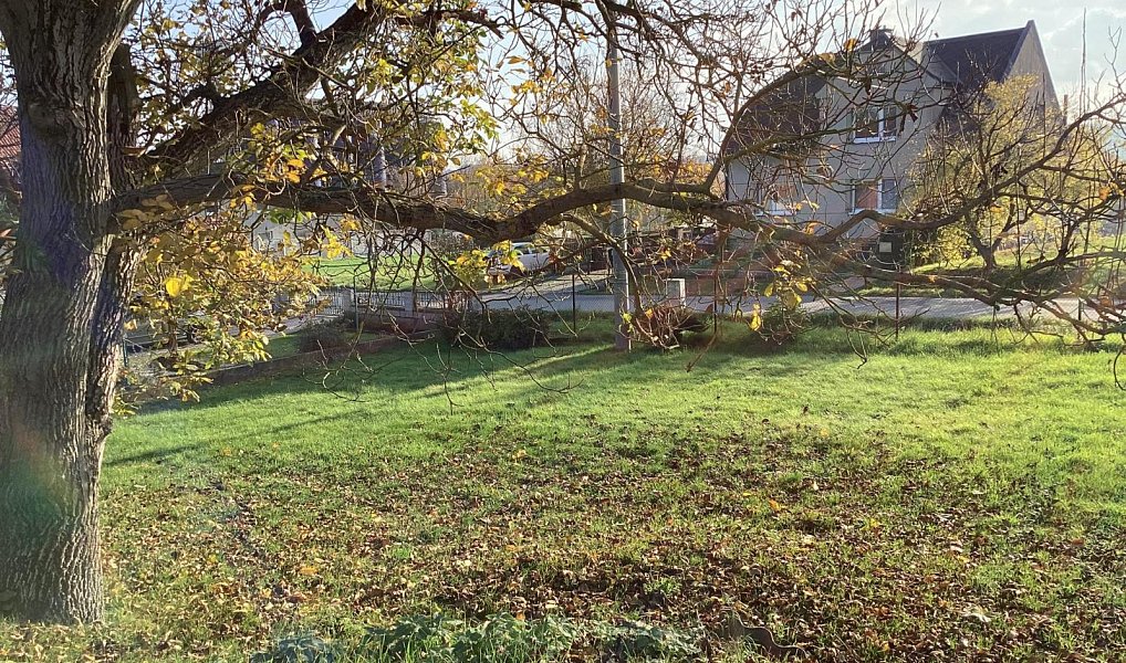 Prodej domu 80 m² s pozemkem 2 564 m², Laškov – náhled fotky 3