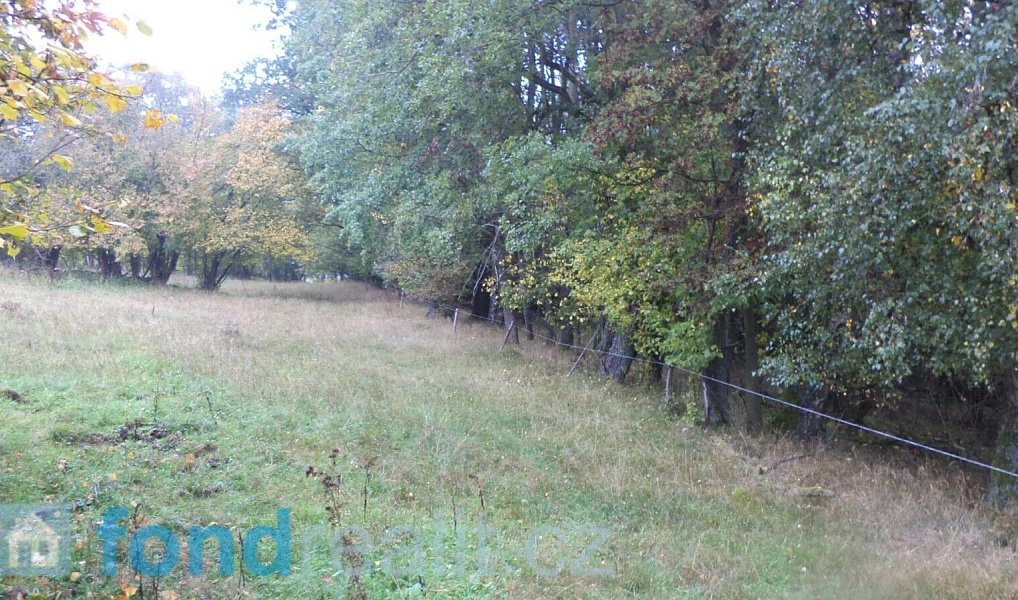 Prodej pole 35 381 m², Přimda – náhled fotky 4