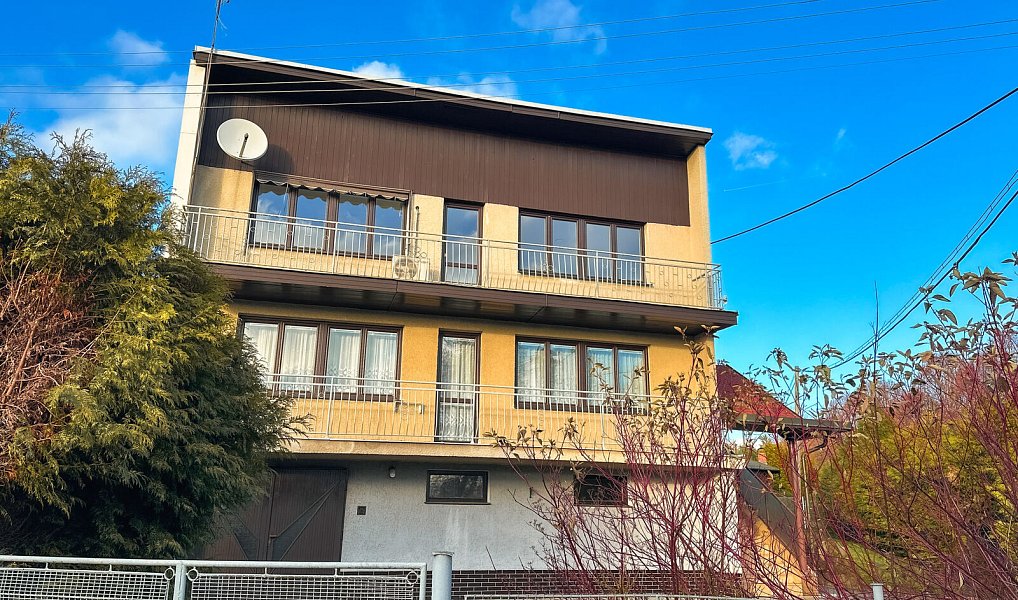 Prodej domu 350 m² s pozemkem 130 m², Halže – náhled fotky 6