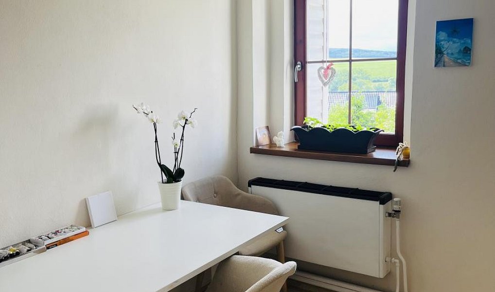 Pronájem domu 160 m² s pozemkem 1 135 m², Stašov – náhled fotky 13