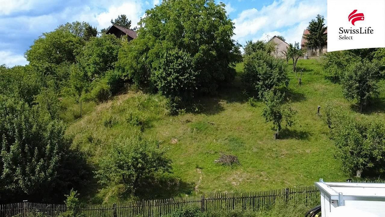 Prodej stavebního pozemku 1 591 m² – fotografie 5