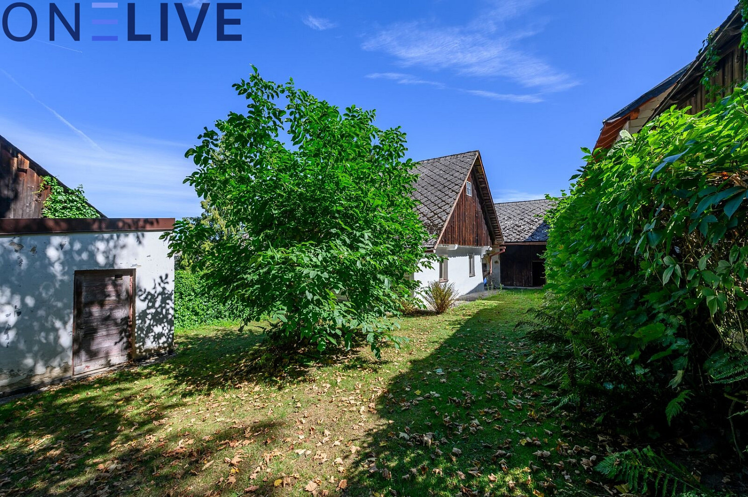 Prodej chaty/chalupy 60 m² s pozemkem 544 m² – fotografie 5