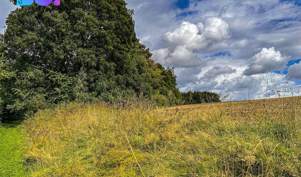 Prodej stavebního pozemku 3 959 m², Skuhrov – náhled fotky 12