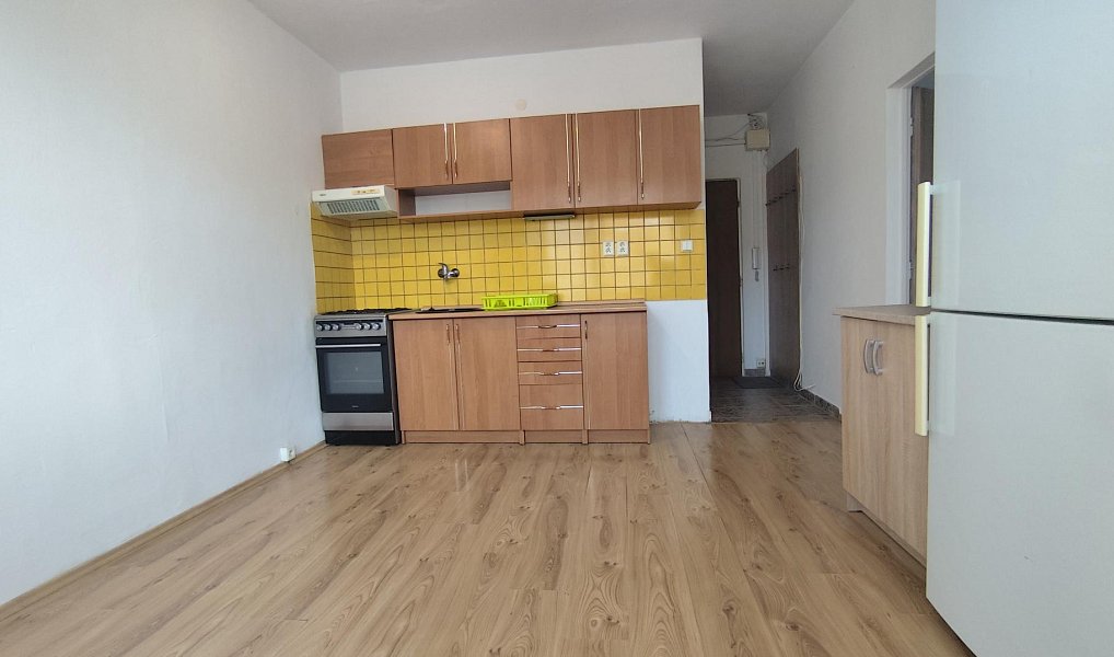 Prodej bytu 1+1 35 m², Žatec – náhled fotky 4