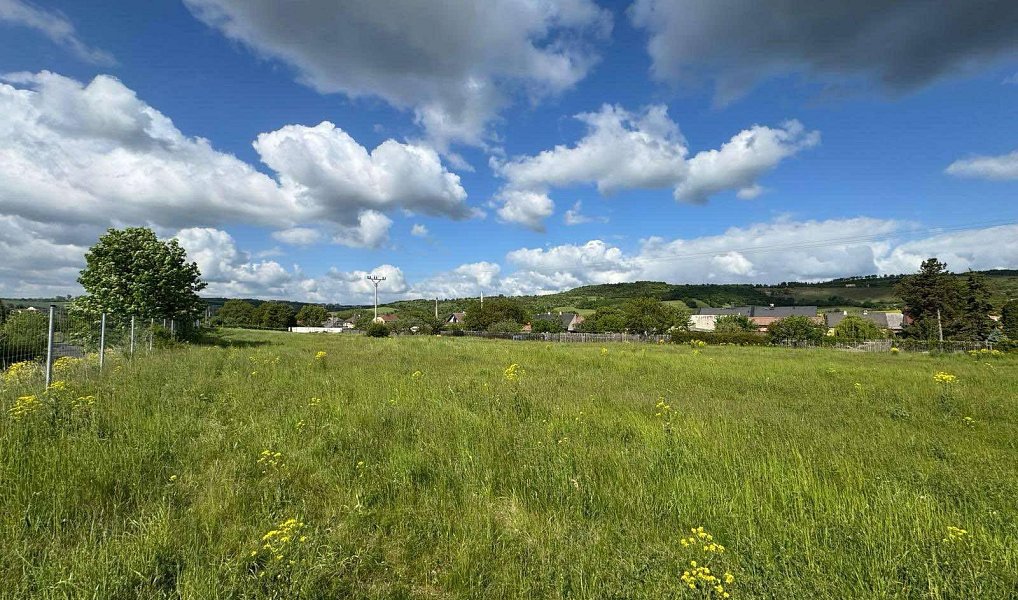 Prodej komerčního pozemku 6 880 m², Obrnice – náhled fotky 2