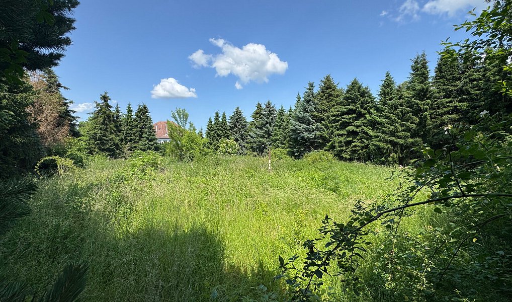 Prodej komerčního pozemku 4 428 m², Kunovice – náhled fotky 3
