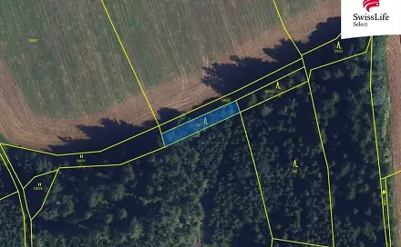 Prodej louky 84 715 m², Trpín, okres Svitavy