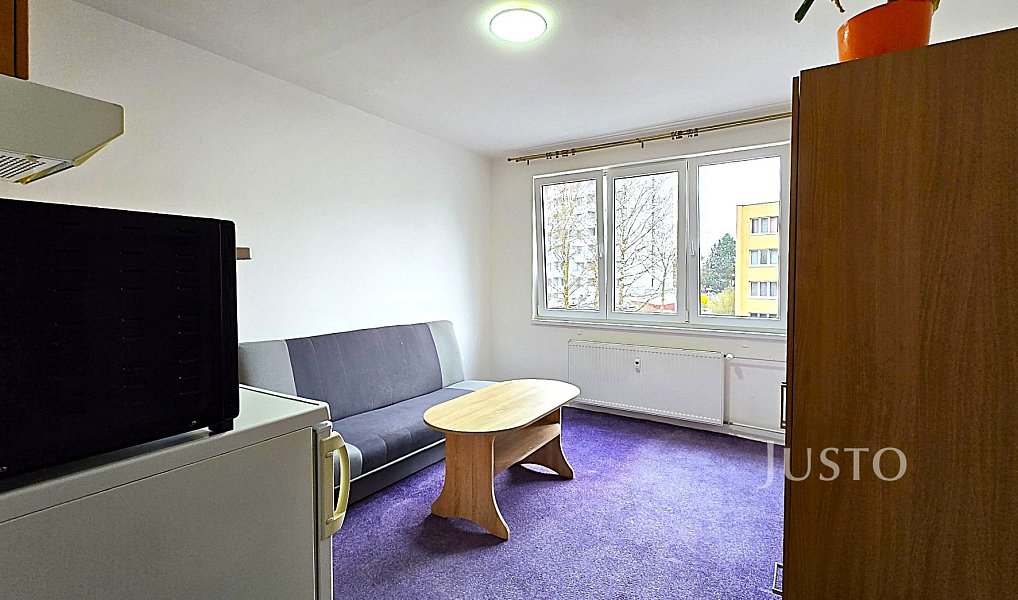 Pronájem bytu 1+kk 20 m², Písek – náhled fotky 4