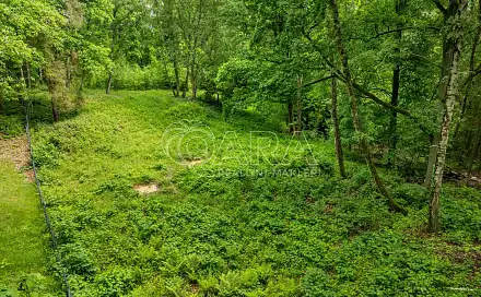 Prodej stavebního pozemku 5 519 m², Hrubá Skála, okres Semily