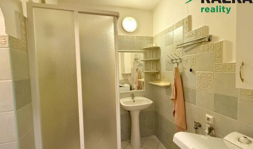 Prodej bytu 2+1 59 m², Planá – náhled fotky 8