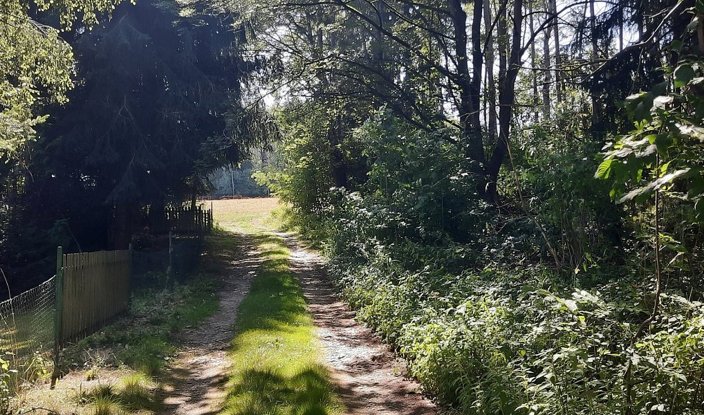 Prodej louky 12 444 m², Benešov nad Černou – náhled fotky 6