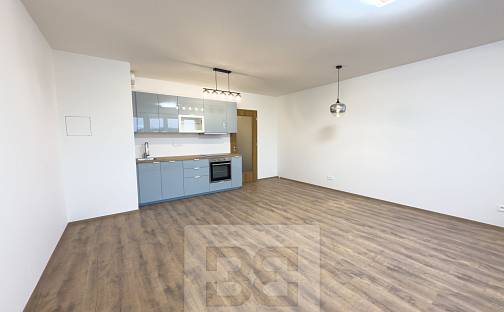 Pronájem bytu 1+kk 37 m², Švermova, Liberec - Liberec X-Františkov