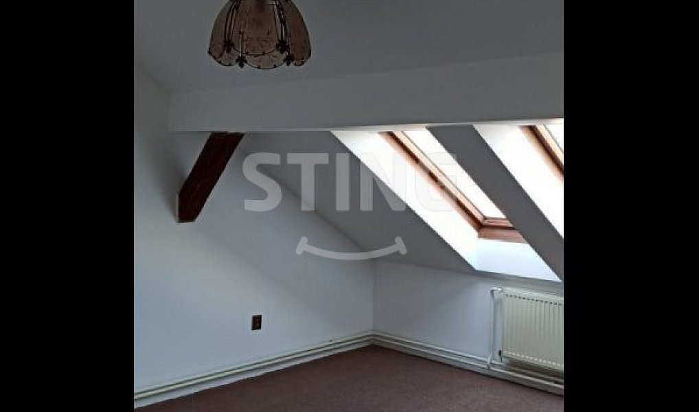 Pronájem bytu 1+1 62 m², Mikulovice – náhled fotky 2