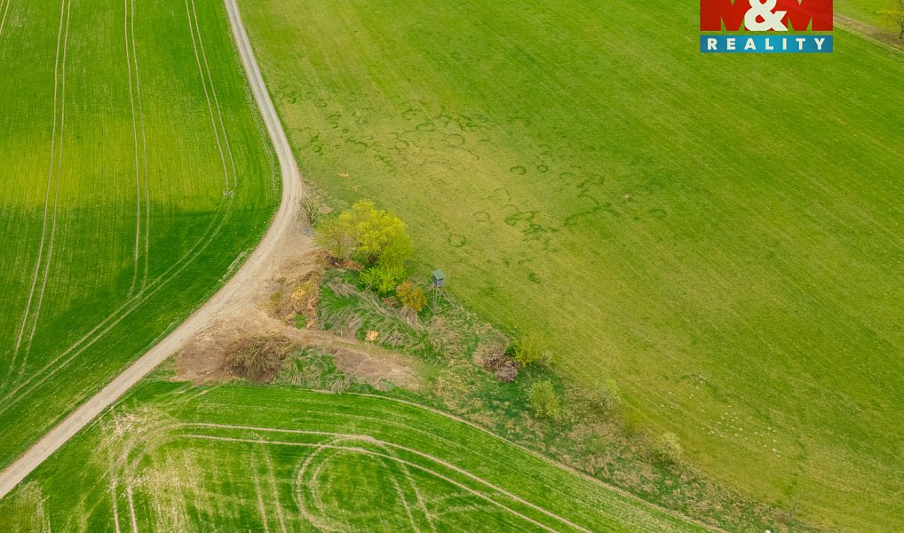 Prodej louky 730 m², Olešnice – náhled fotky 9