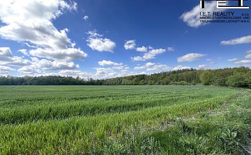 Prodej stavebního pozemku 900 m², Vranov nad Dyjí, okres Znojmo