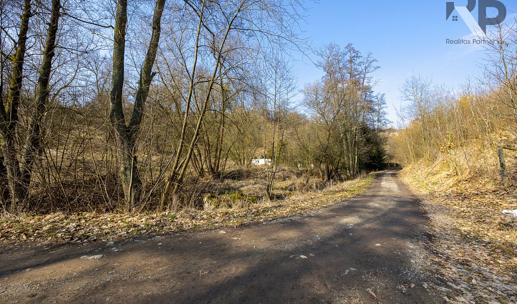 Prodej stavebního pozemku 3 388 m², Luka nad Jihlavou – náhled fotky 7