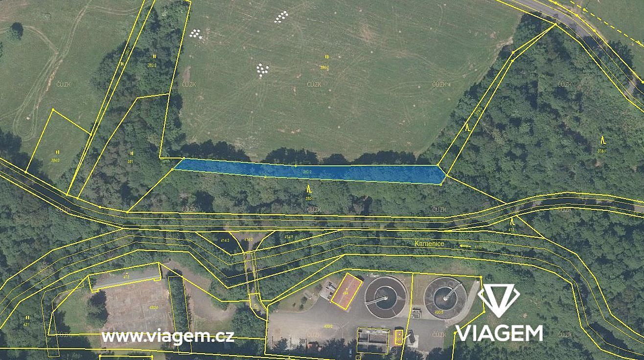 Prodej lesa 1 247 m² – fotografie 2