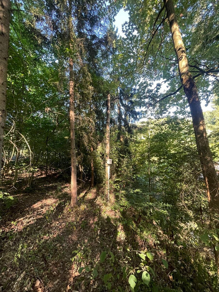 Fotka 15 z 16