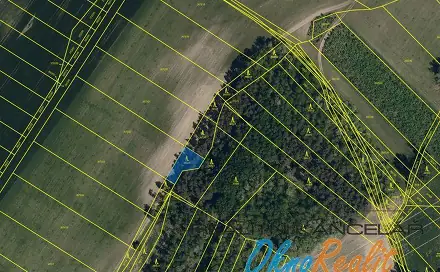 Prodej lesa 442 m², Dubňany, okres Hodonín