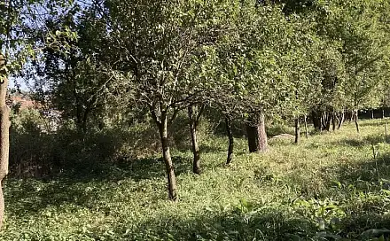 Prodej zahrady 450 m², Příštpo, okres Třebíč