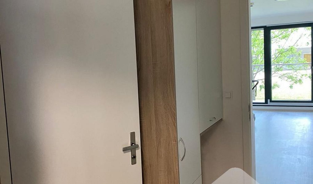 Pronájem bytu 1+kk 31 m², Brno – náhled fotky 8