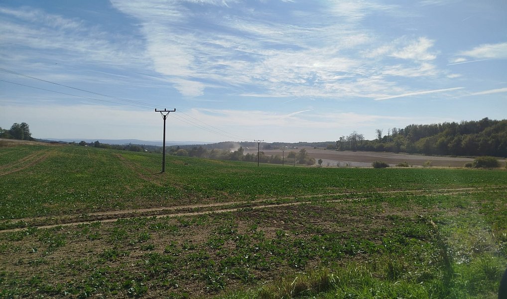 Prodej stavebního pozemku 56 184 m², Ježkovice – náhled fotky 19