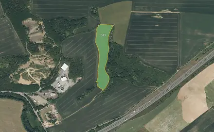 Prodej louky 25 956 m², Starý Plzenec, okres Plzeň-město