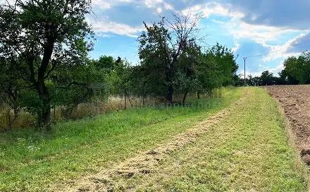 Ostatní