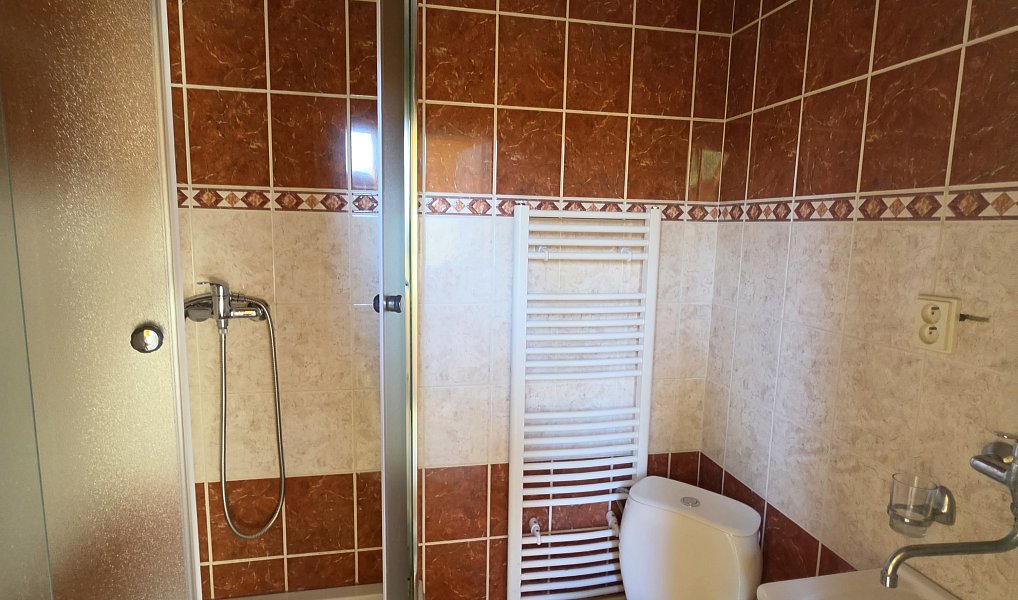 Prodej domu 250 m² s pozemkem 503 m², Vysoká – náhled fotky 34
