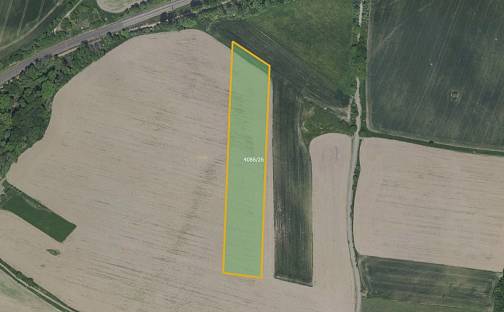 Prodej pole 4 807 m², Benešov