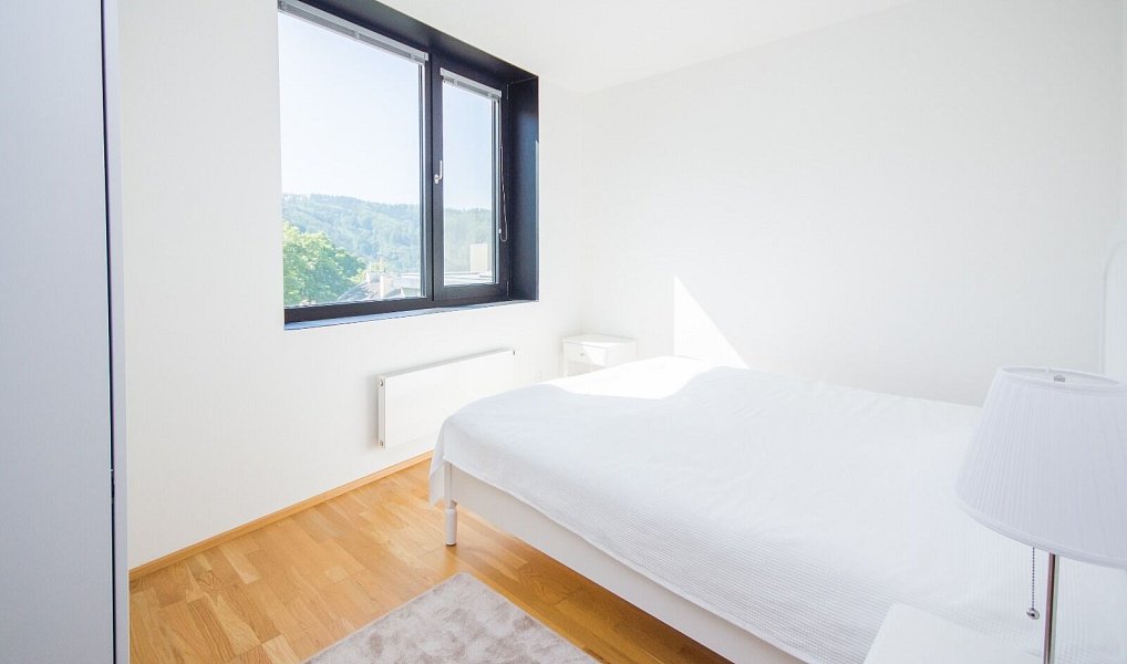 Prodej bytu 5+kk 149 m², Karlovy Vary – náhled fotky 20