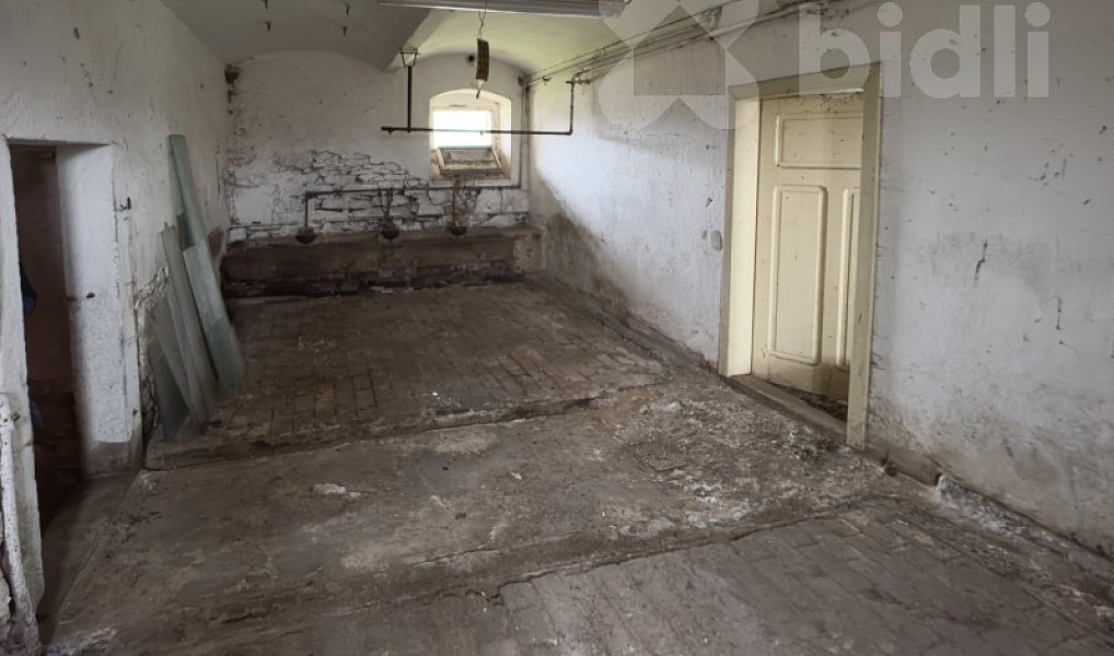 Prodej zemědělského objektu 160 m², Javorník – náhled fotky 25