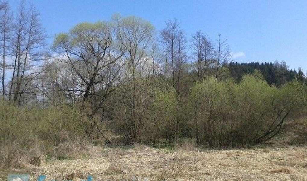 Prodej pozemku 4 724 m², Hříšice – náhled fotky 4