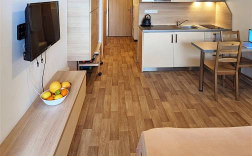 Pronájem bytu 1+kk 20 m², Všemina, okres Zlín