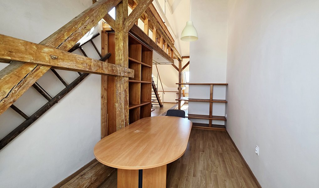 Pronájem bytu 1+kk 106 m², Plzeň – náhled fotky 11