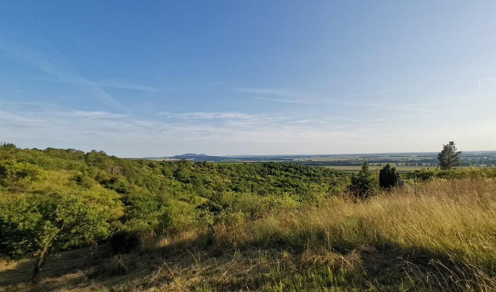 Prodej zahrady 1 751 m², Židlochovice – náhled fotky 6