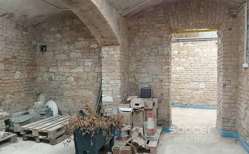 Pronájem skladu / dílny, 25m2, Praha 4 - Nusle, Slavojova., Slavojova, Praha 2 - Nusle