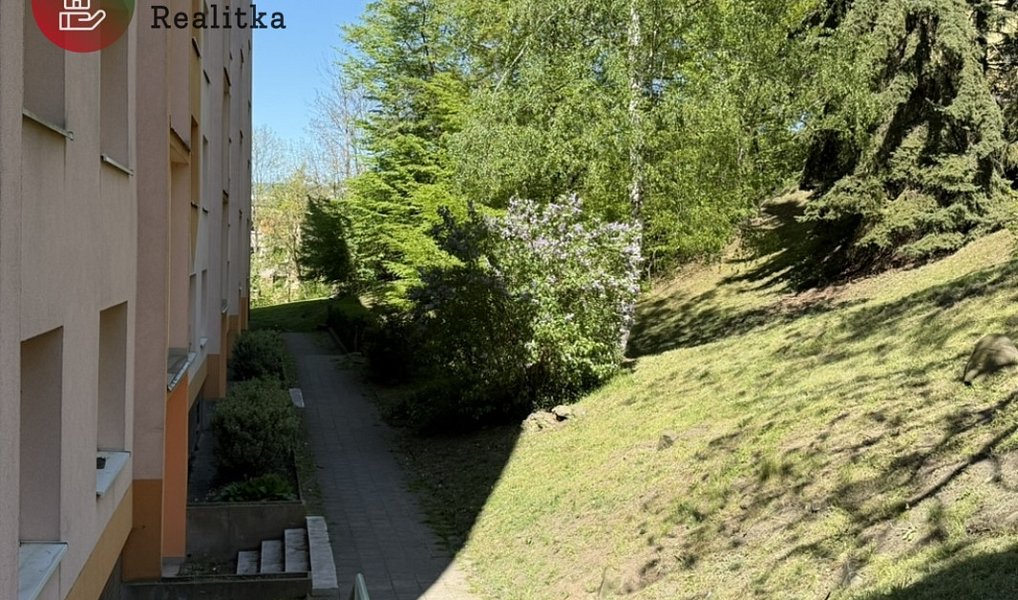 Pronájem bytu 1+kk 20 m², Ústí nad Labem – náhled fotky 60