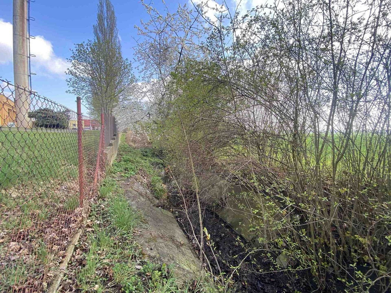 Prodej pozemku 3 560 m² – fotografie 3