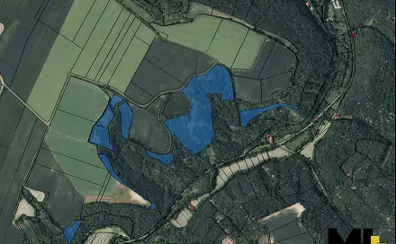 Prodej lesa 103 260 m², Vysoká, okres Mělník